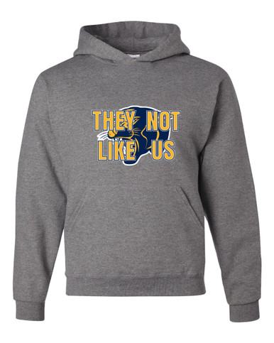 Round Lake Panthers They Not Like Us #2 Men's Premium Hoodie