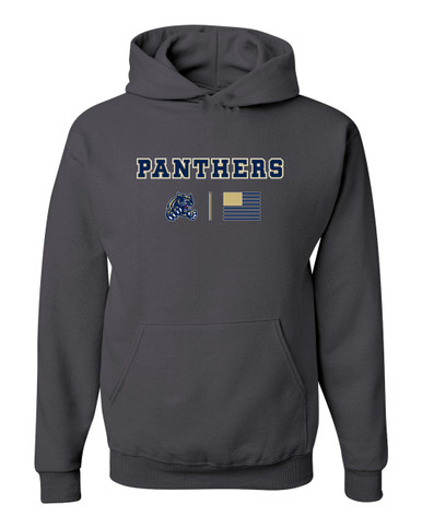 Sweet Home Panthers Team Colors Flag Men's Premium Hoodie