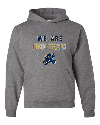 Sweet Home Panthers We Are One Team Men's Premium Hoodie