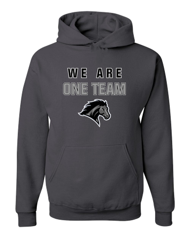 Houston Mustangs We Are One Team Men's Premium Hoodie