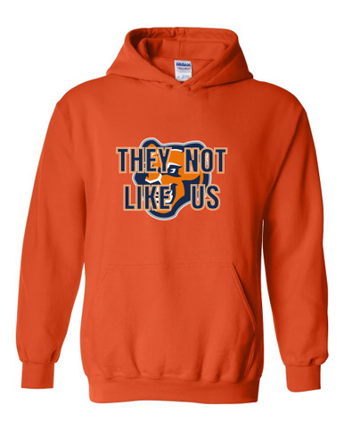North Pitt Panthers They Not Like Us #2 Men's Hoodie