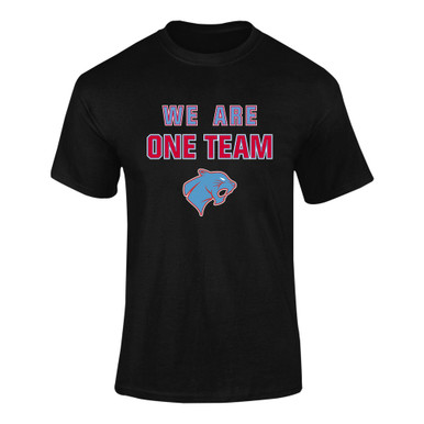 Brainerd Panthers We Are One Team Men's Premium SS T-Shirt