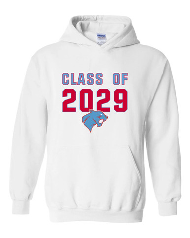 Brainerd Panthers Class of 2029 Men's Hoodie
