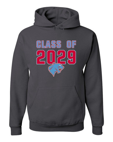 Brainerd Panthers Class of 2029 Men's Premium Hoodie
