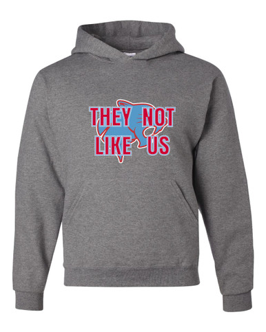 Brainerd Panthers They Not Like Us #2 Men's Premium Hoodie