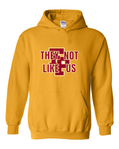 Forest Park Panthers They Not Like Us #2 Men's Hoodie
