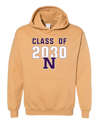 Navarro Panthers N Script Class of 2030 Men's Hoodie