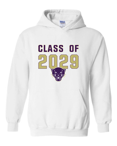Navarro Panthers Class of 2029 Men's Hoodie