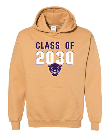 Navarro Panthers Class of 2030 Men's Hoodie