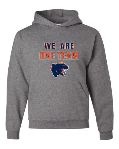 Oswego Panthers We Are One Team Men's Premium Hoodie