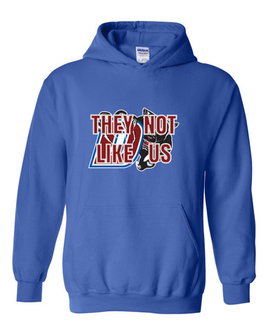 Duncanville Panthers They Not Like Us #2 Men's Hoodie