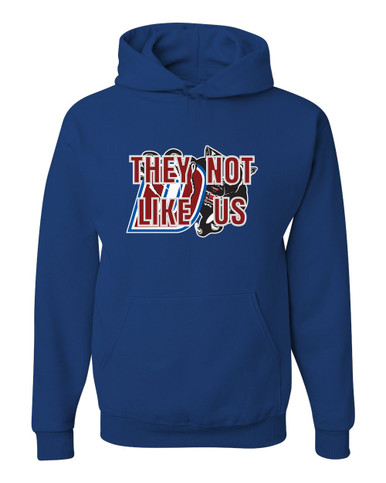 Duncanville Panthers They Not Like Us #2 Men's Premium Hoodie