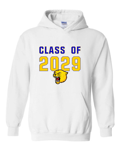 Pflugerville Panthers Class of 2029 Men's Hoodie