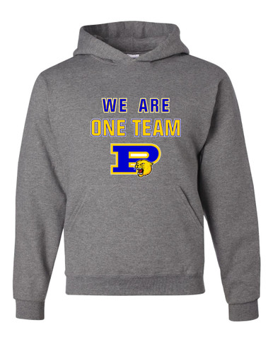 Pflugerville Panthers P Script We Are One Team Men's Premium Hoodie