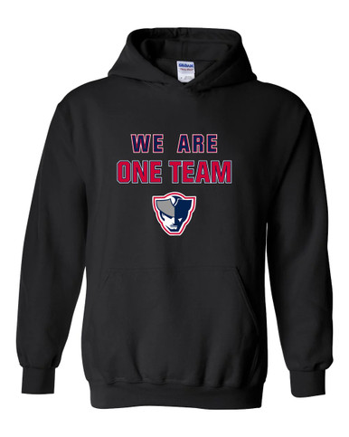 Seeger Patriots We Are One Team Men's Hoodie