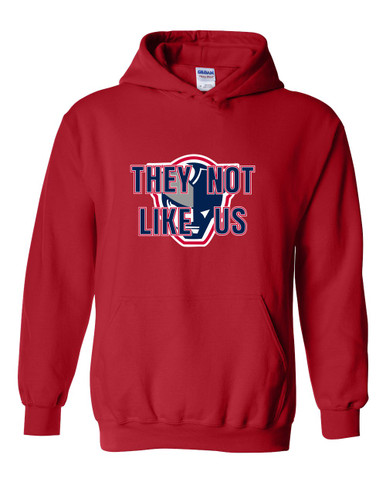 Seeger Patriots They Not Like Us #2 Men's Hoodie