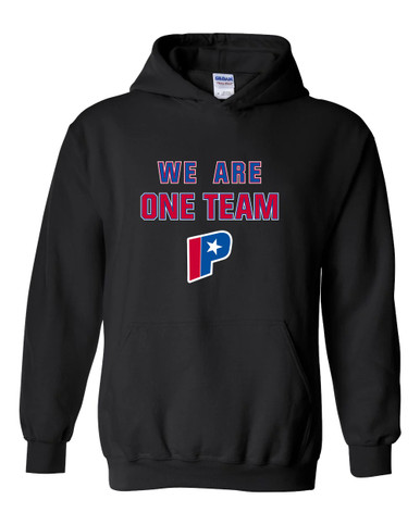 Parkview Patriots We Are One Team Men's Hoodie
