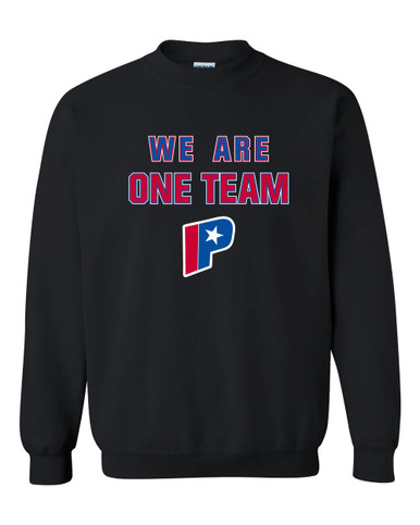 Parkview Patriots We Are One Team Men's Sweatshirt
