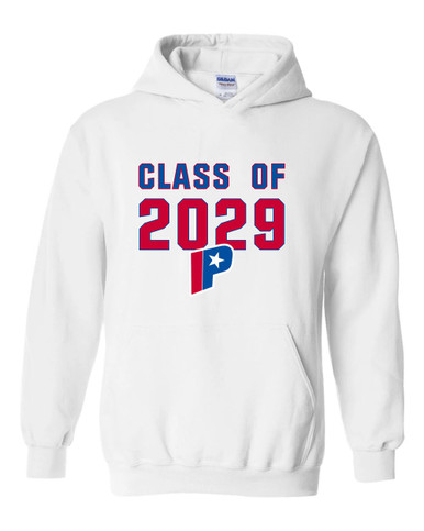 Parkview Patriots Class of 2029 Men's Hoodie