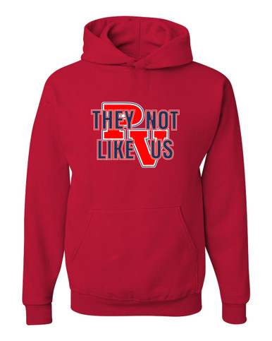 Park View Patriots They Not Like Us #2 Men's Premium Hoodie