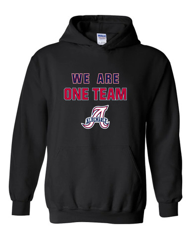 Albemarle Patriots We Are One Team Men's Hoodie