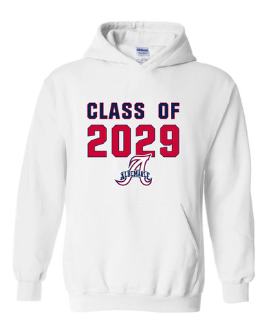 Albemarle Patriots Class of 2029 Men's Hoodie