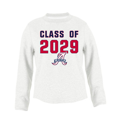 Albemarle Patriots Class of 2029 Men's Sweatshirt