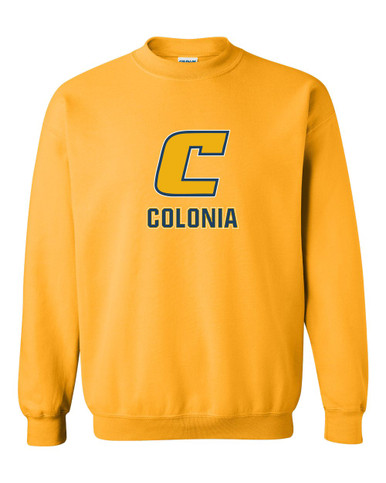 Colonia Patriots Mascot #2 Men's Sweatshirt