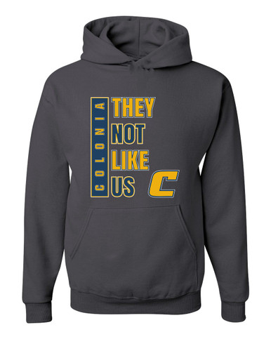 Colonia Patriots They Not Like Us #1 Men's Premium Hoodie