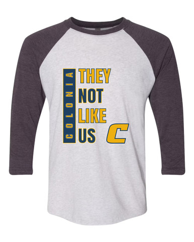 Colonia Patriots They Not Like Us #1 Men's Baseball T-Shirt