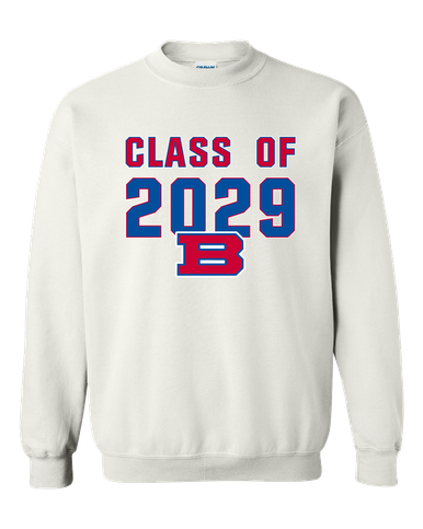 Bartlett Panthers Class of 2029 Men's Sweatshirt