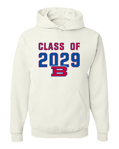 Bartlett Panthers Class of 2029 Men's Premium Hoodie