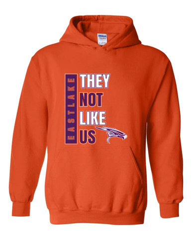 Eastlake Falcons They Not Like Us #1 Men's Hoodie