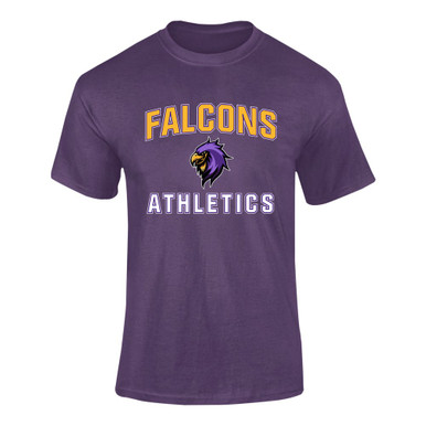Monroe Falcons Sideview Athletics Men's SS T-Shirt