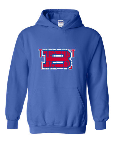 Bartlett Panthers They Not Like Us #2 Men's Hoodie