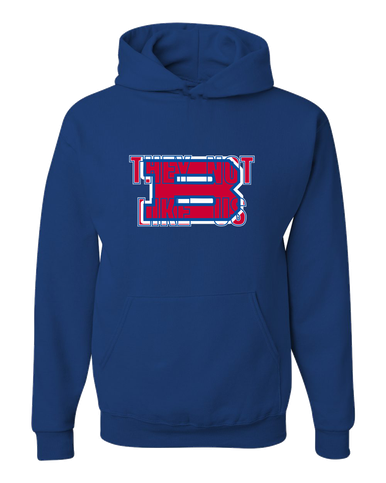 Bartlett Panthers They Not Like Us #2 Men's Premium Hoodie