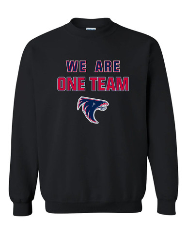 Clear Lake Falcons We Are One Team Men's Sweatshirt