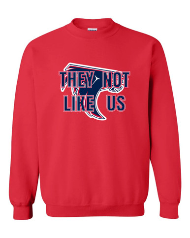 Clear Lake Falcons They Not Like Us #2 Men's Sweatshirt