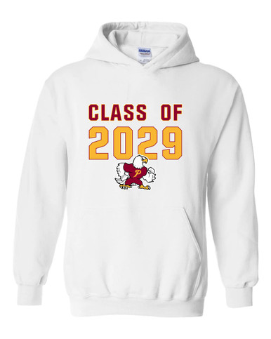 Prairie Falcons Class of 2029 Men's Hoodie