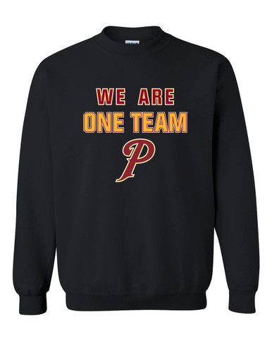 Prairie Falcons P Script We Are One Team Men's Sweatshirt