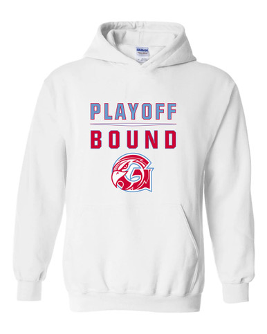 Glendale Falcons Playoff Bound Men's Hoodie
