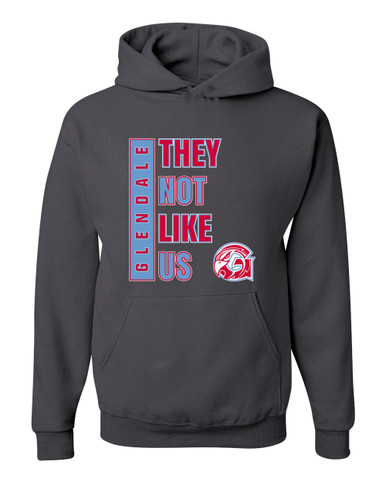 Glendale Falcons They Not Like Us #1 Men's Premium Hoodie