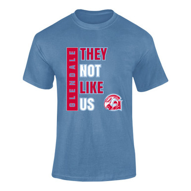 Glendale Falcons They Not Like Us #1 Men's Premium SS T-Shirt