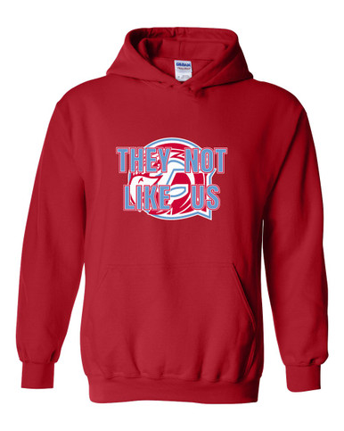 Glendale Falcons They Not Like Us #2 Men's Hoodie