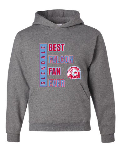 Glendale Falcons Best Falcon Fan Men's Premium Hoodie