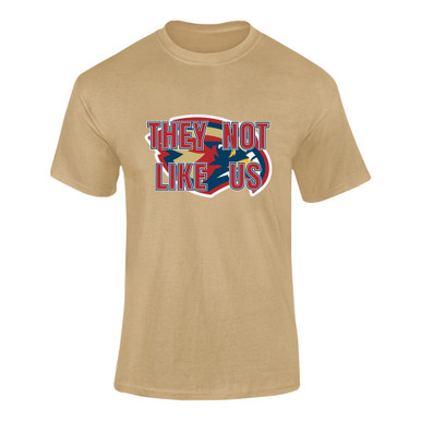 Pebblebrook Falcons They Not Like Us #2 Men's SS T-Shirt