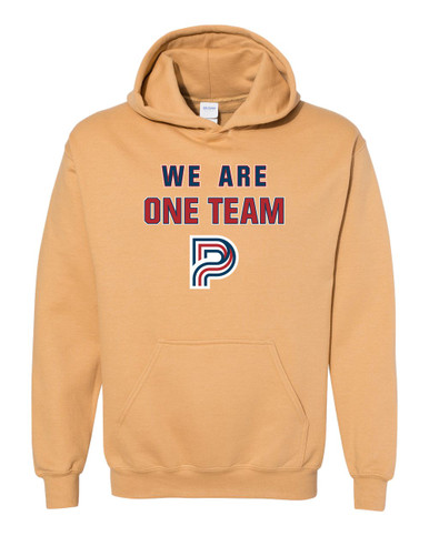 Pebblebrook Falcons P Script We Are One Team Men's Hoodie