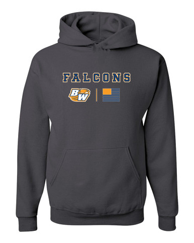 Briar Woods Falcons Team Colors Flag Men's Premium Hoodie