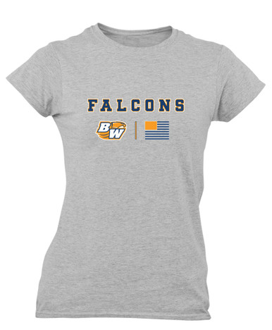 Briar Woods Falcons Team Colors Flag Women's SS T-Shirt