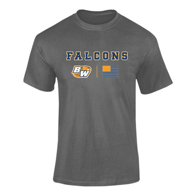 Briar Woods Falcons Team Colors Flag Men's Premium SS T-Shirt